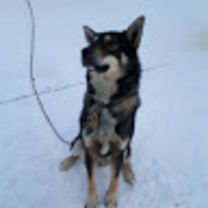 Meet your Posher, Erin